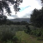 WhatsApp Image 2020-03-06 at 12.24.49 (10)