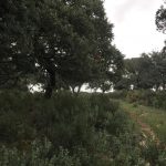 WhatsApp Image 2020-03-06 at 12.24.49 – copia